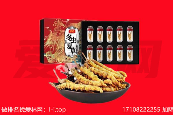 荆州回收虫草.jpg
